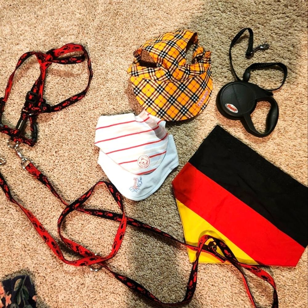 Lot of dog accessories
